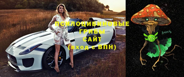 винт Абинск
