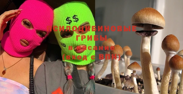 винт Абинск